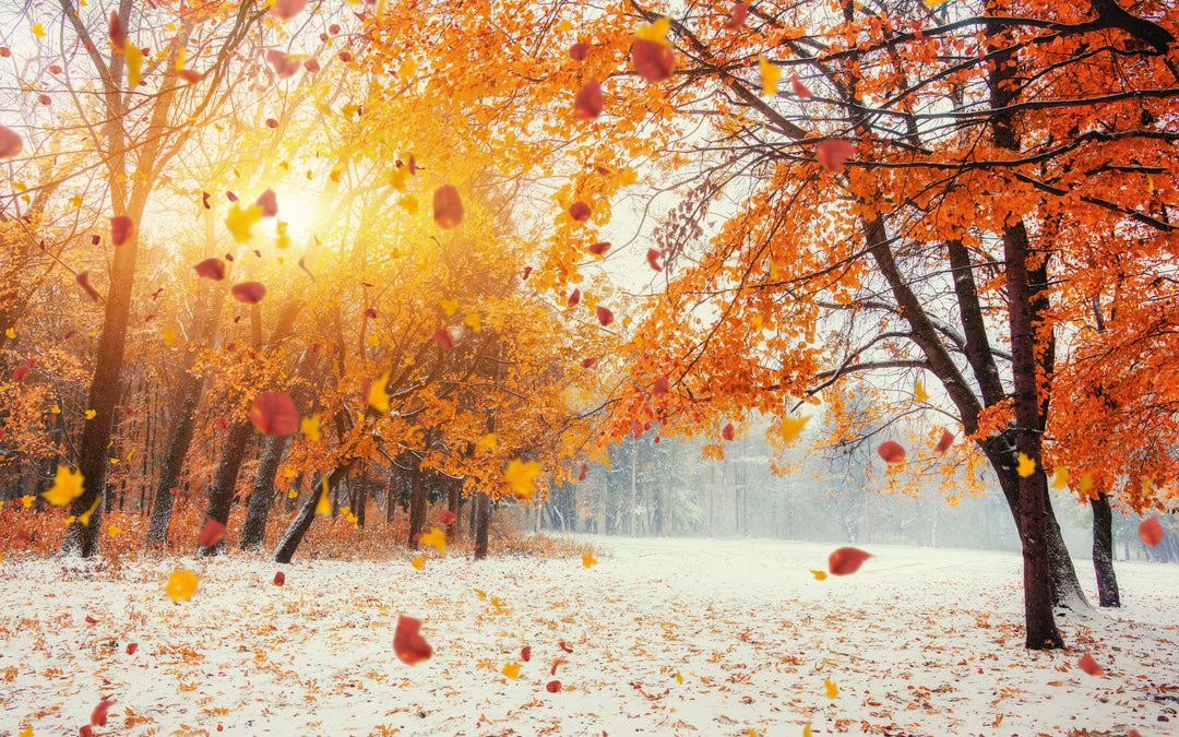 farewell fall, welcome winter: prepping your skin with hydration for the season switch!