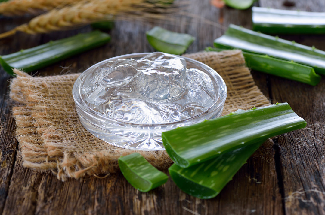 A small clear bowl with aloe gel sitting on a piece of burlap next to cut aloe leave