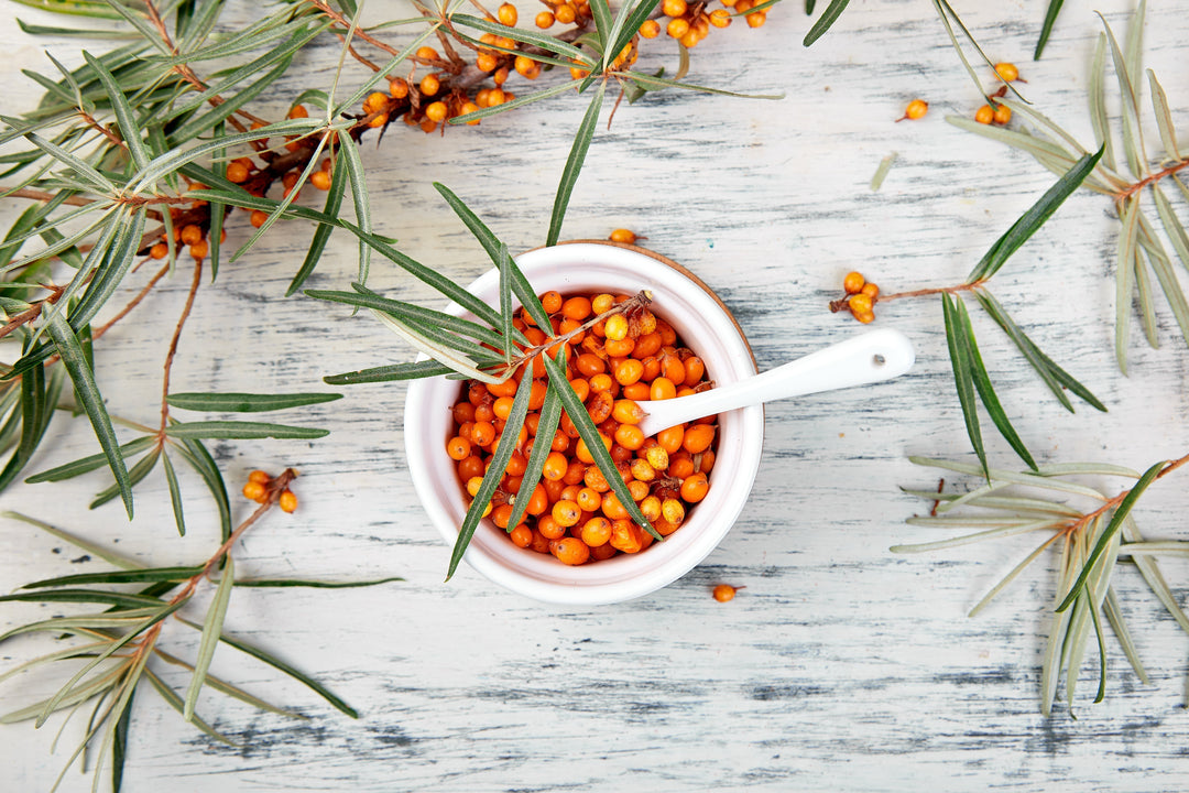 Natural, organic sea buckthorn berry in bowl and a on white wooden background. Branch of sea buckthorn. Top view.