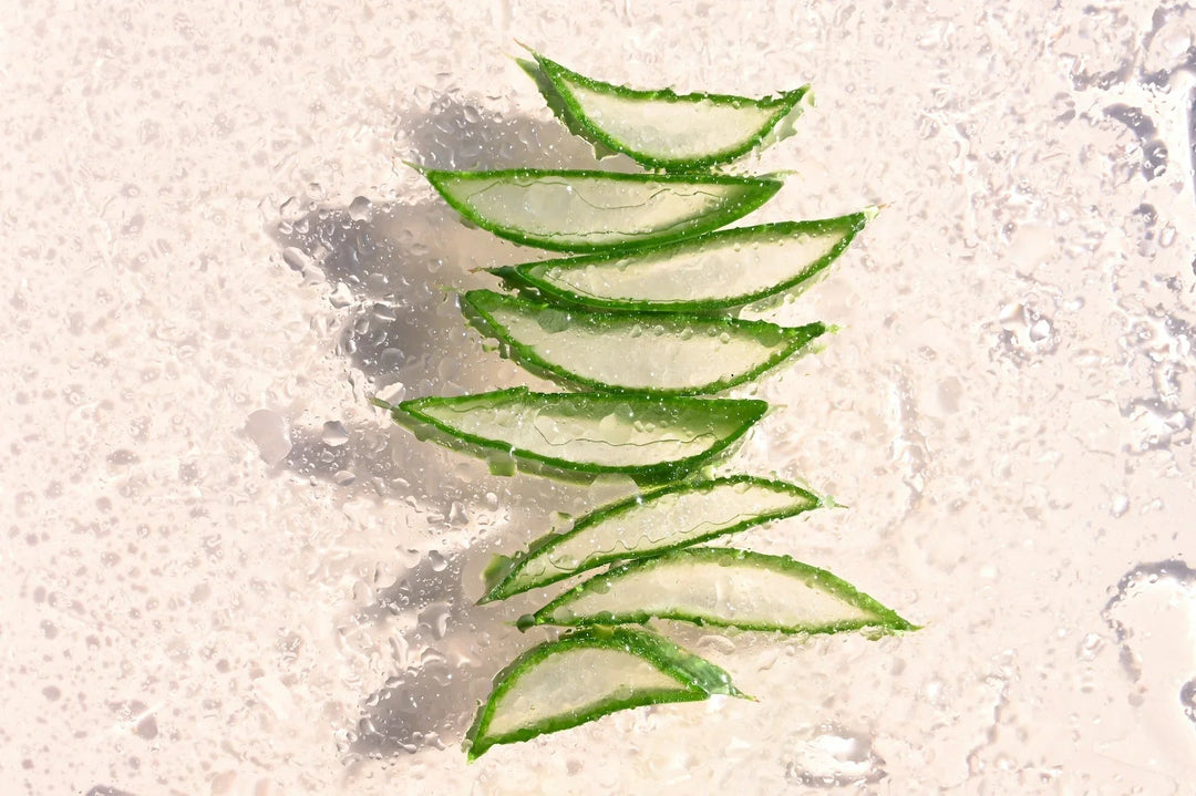 Freshly sliced aloe vera leaves arranged on a textured, glistening water background.